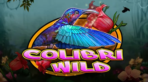 Colibri Wild - Spin City - Congo
